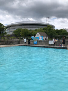 神戸総合運動公園チャプチャプ池について